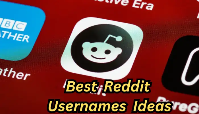 Reddit Usernames Ideas