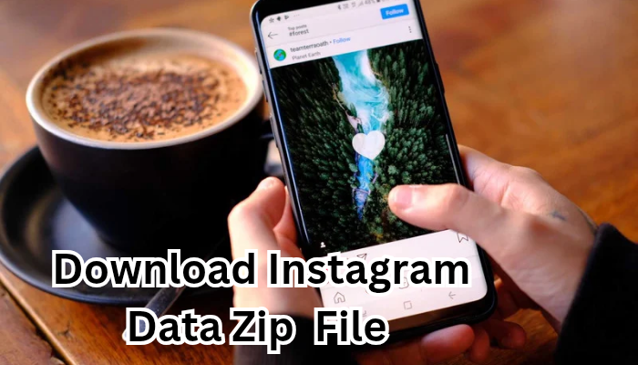 Download Instagram Data Zip File