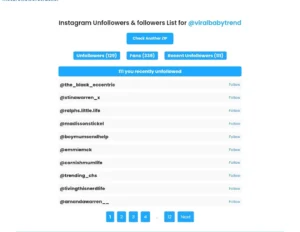 check instagram followers